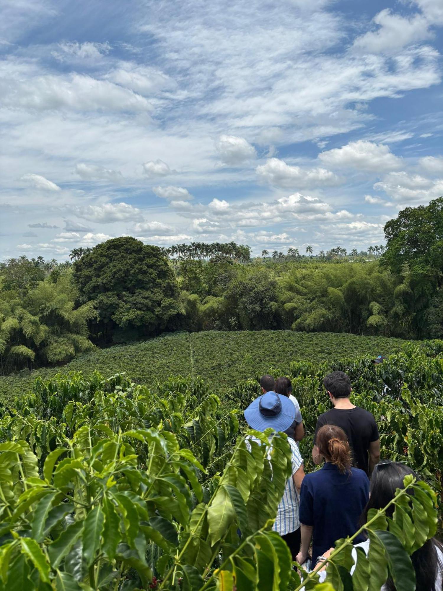 Hacienda Bambusa El Caimo Bagian luar foto