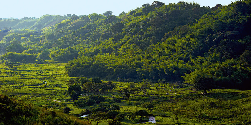 Hacienda Bambusa El Caimo Bagian luar foto