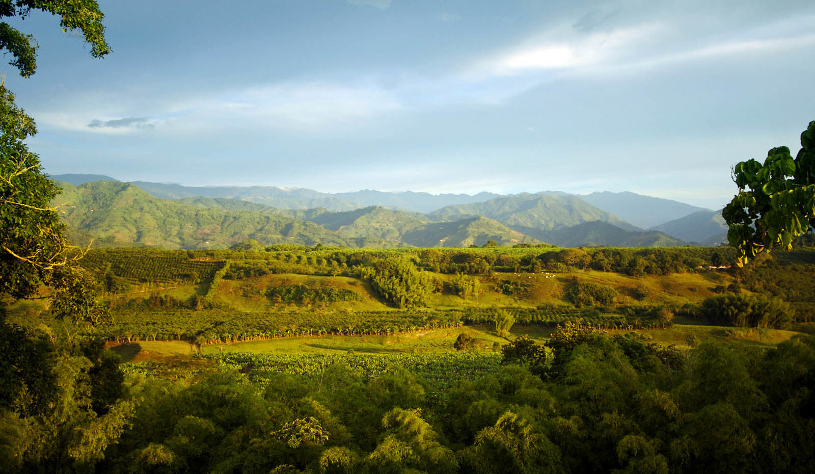 Hacienda Bambusa El Caimo Bagian luar foto