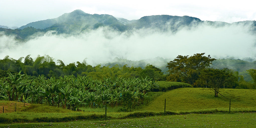 Hacienda Bambusa El Caimo Bagian luar foto